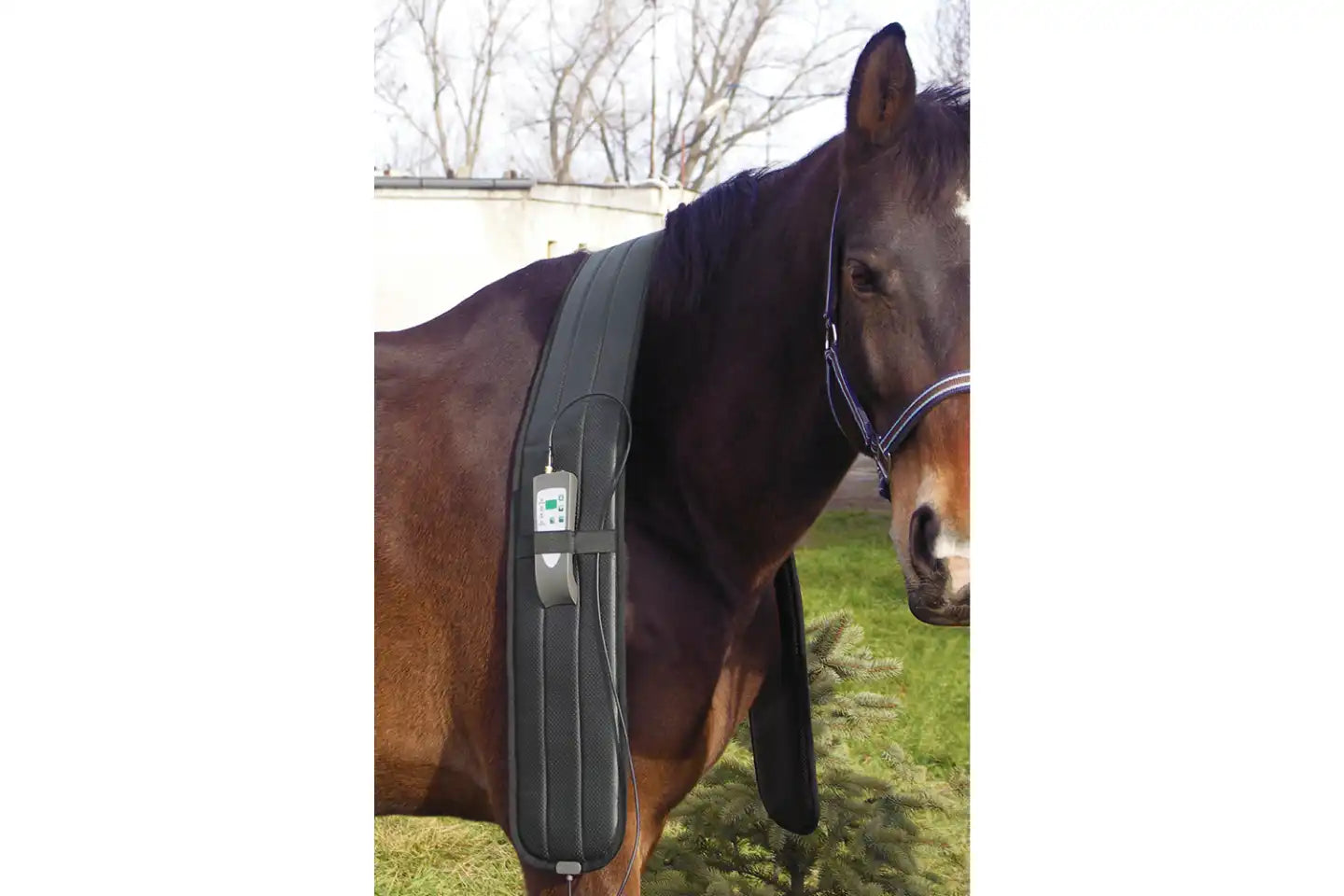 OMI PEMF Horse Shoulder Band